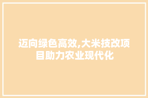 迈向绿色高效,大米技改项目助力农业现代化