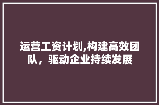 运营工资计划,构建高效团队，驱动企业持续发展