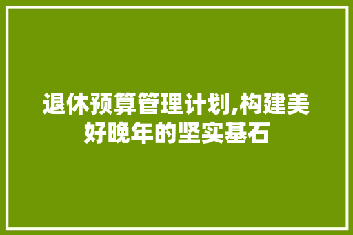 退休预算管理计划,构建美好晚年的坚实基石