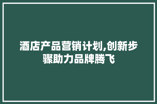 酒店产品营销计划,创新步骤助力品牌腾飞