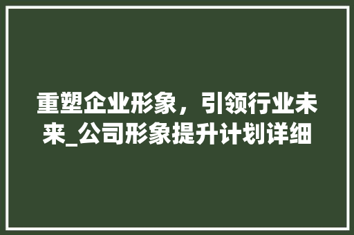 重塑企业形象，引领行业未来_公司形象提升计划详细介绍