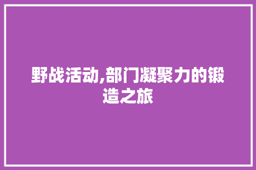 野战活动,部门凝聚力的锻造之旅