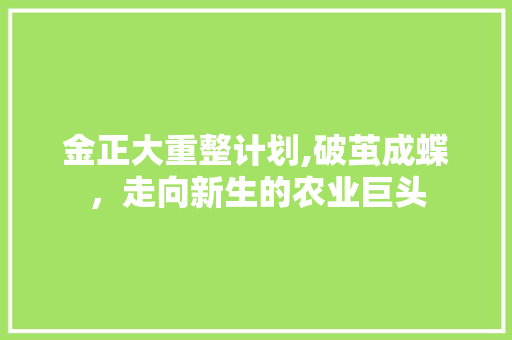 金正大重整计划,破茧成蝶，走向新生的农业巨头