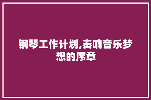 钢琴工作计划,奏响音乐梦想的序章