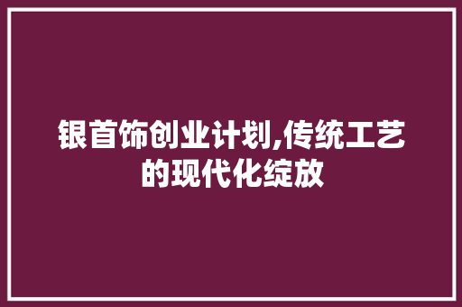 银首饰创业计划,传统工艺的现代化绽放