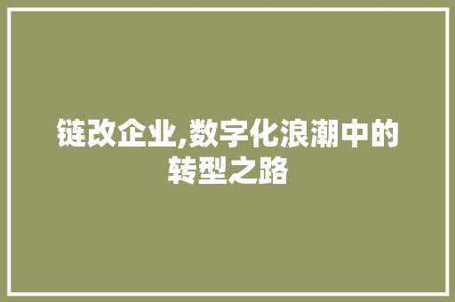 链改企业,数字化浪潮中的转型之路