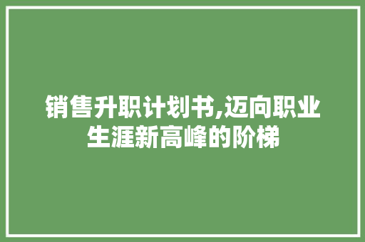 销售升职计划书,迈向职业生涯新高峰的阶梯