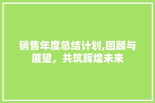 销售年度总结计划,回顾与展望，共筑辉煌未来