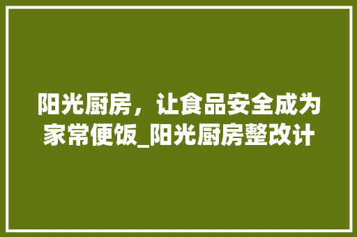 阳光厨房，让食品安全成为家常便饭_阳光厨房整改计划解读