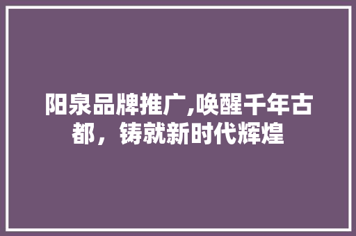 阳泉品牌推广,唤醒千年古都，铸就新时代辉煌