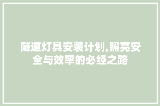 隧道灯具安装计划,照亮安全与效率的必经之路