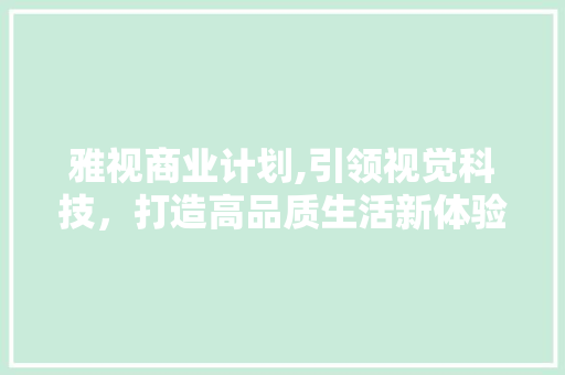 雅视商业计划,引领视觉科技，打造高品质生活新体验