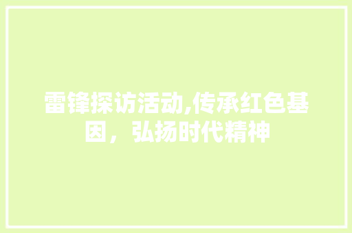 雷锋探访活动,传承红色基因，弘扬时代精神