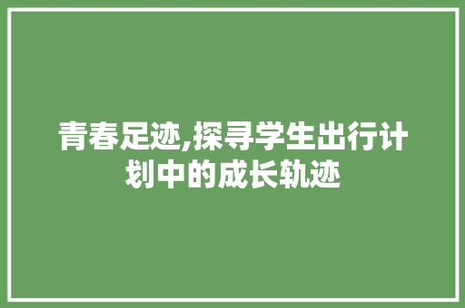 青春足迹,探寻学生出行计划中的成长轨迹