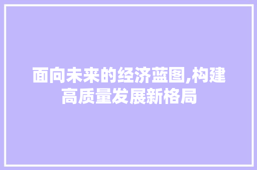 面向未来的经济蓝图,构建高质量发展新格局