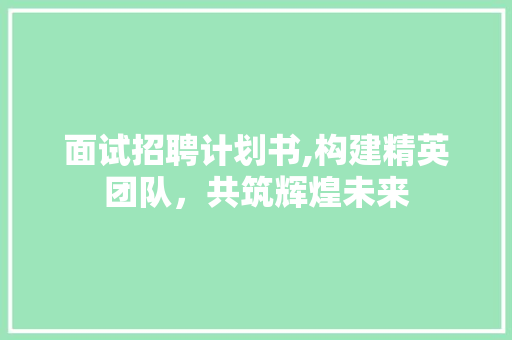 面试招聘计划书,构建精英团队，共筑辉煌未来