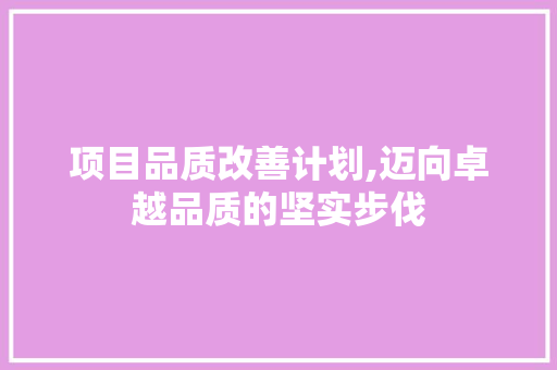 项目品质改善计划,迈向卓越品质的坚实步伐