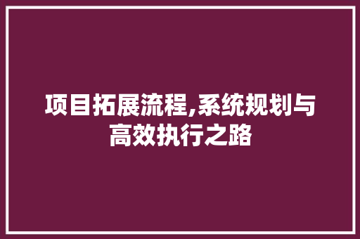 项目拓展流程,系统规划与高效执行之路