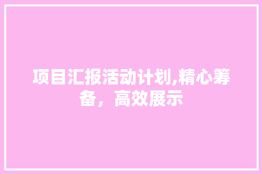 项目汇报活动计划,精心筹备，高效展示