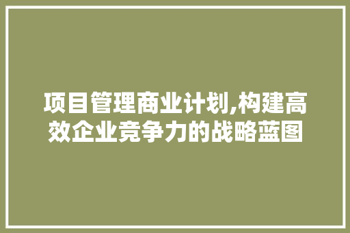 项目管理商业计划,构建高效企业竞争力的战略蓝图