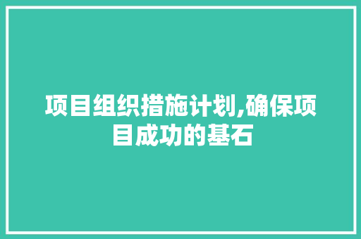 项目组织措施计划,确保项目成功的基石