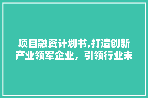 项目融资计划书,打造创新产业领军企业，引领行业未来发展