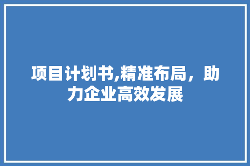 项目计划书,精准布局，助力企业高效发展