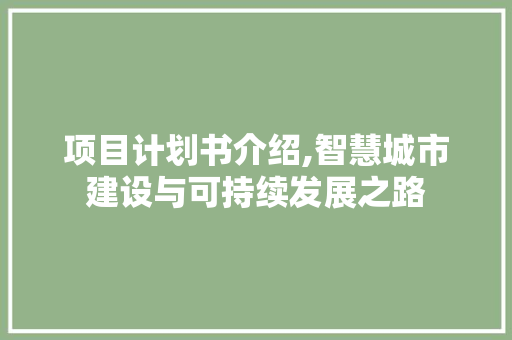 项目计划书介绍,智慧城市建设与可持续发展之路