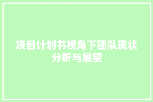 项目计划书视角下团队现状分析与展望