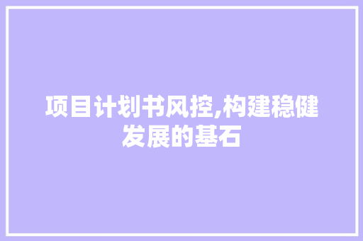 项目计划书风控,构建稳健发展的基石