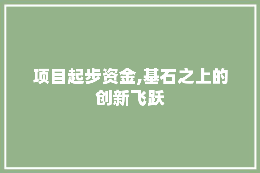 项目起步资金,基石之上的创新飞跃