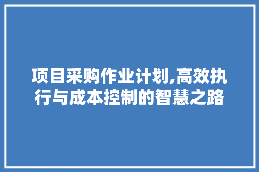 项目采购作业计划,高效执行与成本控制的智慧之路