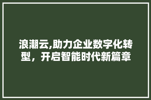 浪潮云,助力企业数字化转型，开启智能时代新篇章