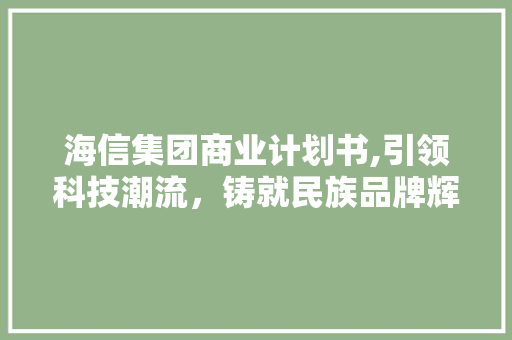 海信集团商业计划书,引领科技潮流，铸就民族品牌辉煌