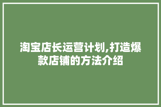 淘宝店长运营计划,打造爆款店铺的方法介绍