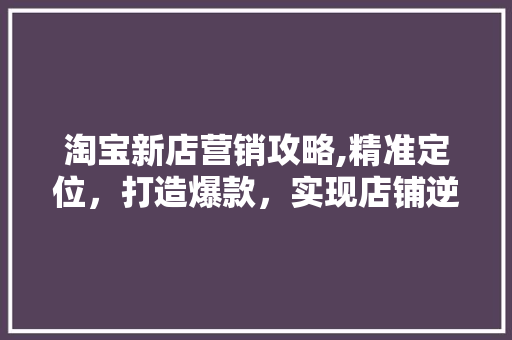 淘宝新店营销攻略,精准定位，打造爆款，实现店铺逆袭