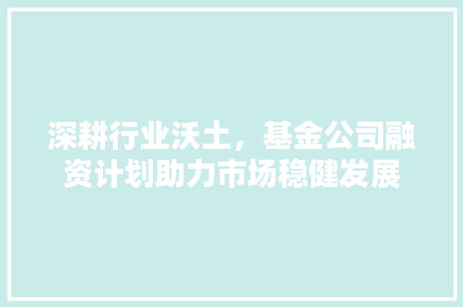 深耕行业沃土，基金公司融资计划助力市场稳健发展