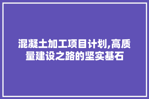 混凝土加工项目计划,高质量建设之路的坚实基石