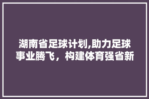 湖南省足球计划,助力足球事业腾飞，构建体育强省新格局