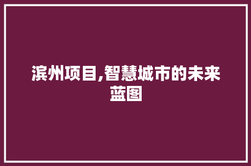 滨州项目,智慧城市的未来蓝图