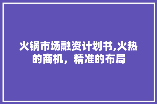 火锅市场融资计划书,火热的商机，精准的布局