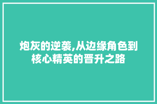 炮灰的逆袭,从边缘角色到核心精英的晋升之路