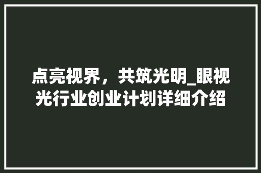 点亮视界，共筑光明_眼视光行业创业计划详细介绍