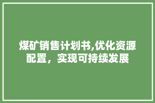 煤矿销售计划书,优化资源配置，实现可持续发展