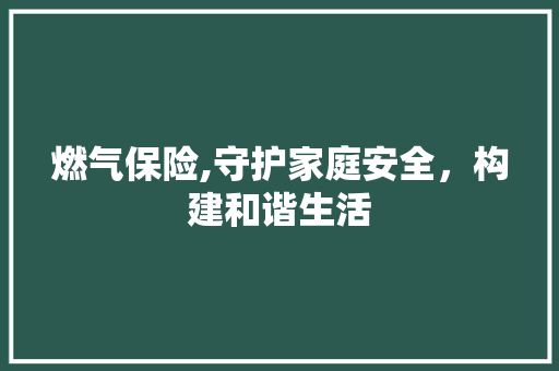 燃气保险,守护家庭安全，构建和谐生活 申请书范文