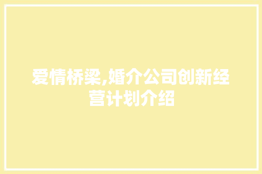 爱情桥梁,婚介公司创新经营计划介绍