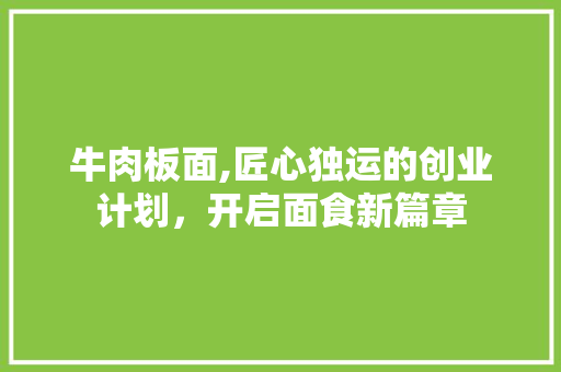 牛肉板面,匠心独运的创业计划，开启面食新篇章