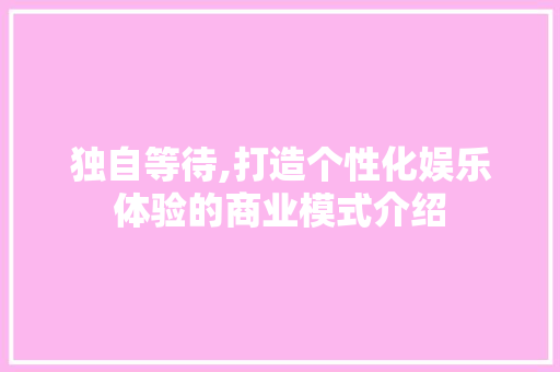 独自等待,打造个性化娱乐体验的商业模式介绍