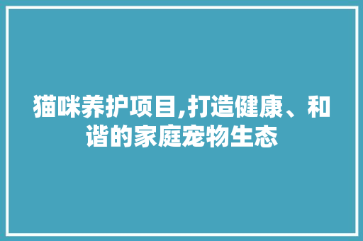 猫咪养护项目,打造健康、和谐的家庭宠物生态