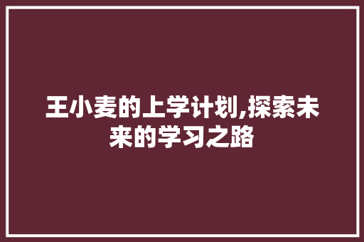 王小麦的上学计划,探索未来的学习之路